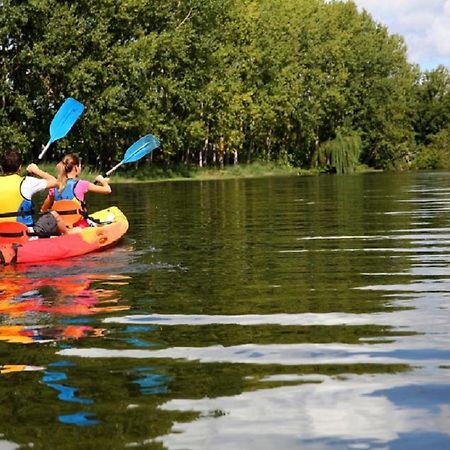 Les Cygnes Au Bord Du Loing Villa Montigny-sur-Loing Екстериор снимка