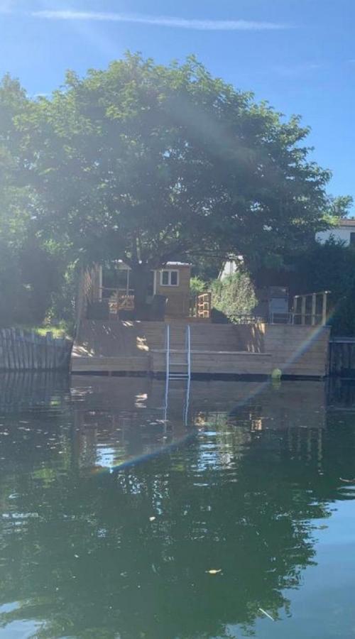 Les Cygnes Au Bord Du Loing Villa Montigny-sur-Loing Екстериор снимка